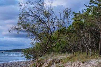 _极地冰雪极限车：雪原极速狂飙_，极地冰雪图片